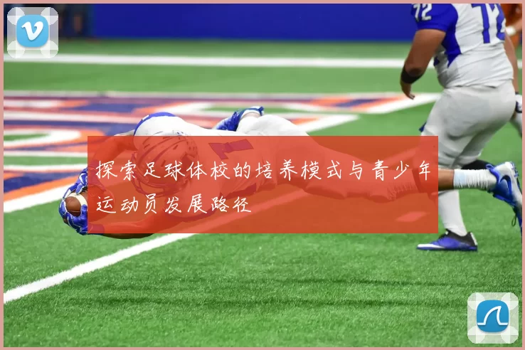 探索足球体校的培养模式与青少年运动员发展路径