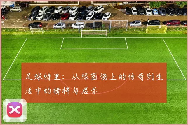 足球特里：从绿茵场上的传奇到生活中的榜样与启示